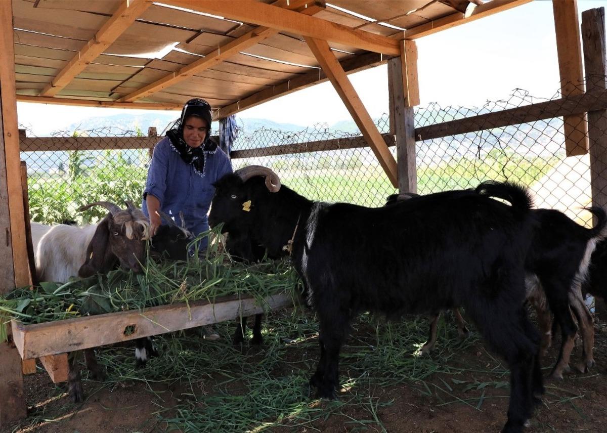 Belediye destekliyor, kıl ke&ccedil;isi &uuml;reten kadınların y&uuml;z&uuml; g&uuml;l&uuml;yor