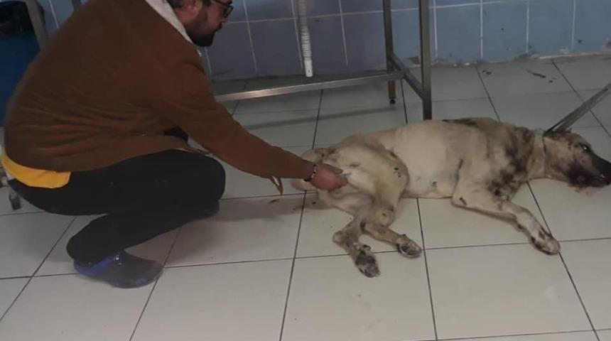 Başkan Altay ekipleri seferber etti