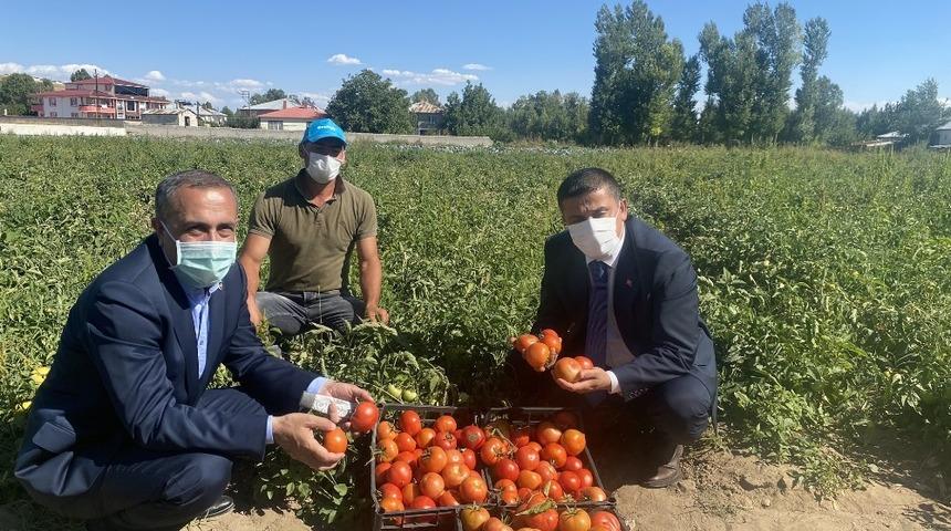 Milletvekili Arvas &ccedil;ift&ccedil;ileri tarlada ziyaret etti