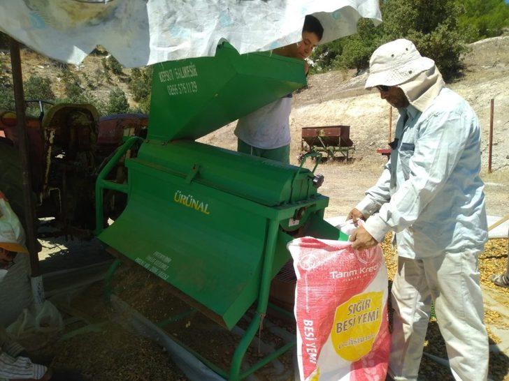 Selendi’de badem hasadı başladı G3