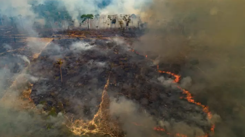 Yağmur ormanları hızla artan yangınlarla yok oluyor