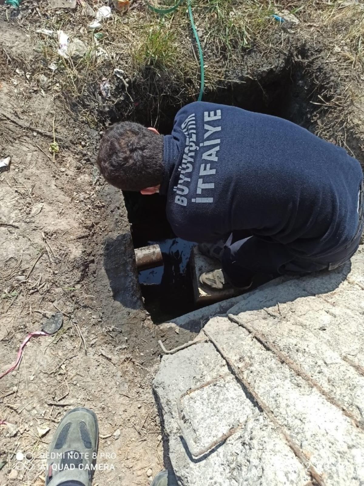 Kuyuya d&uuml;şen k&ouml;pek kurtarıldı