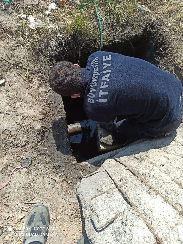 Kuyuya düşen köpek kurtarıldı G1