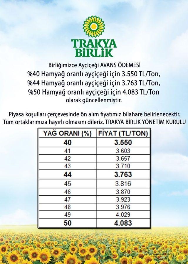 Trakya Birlik’ten ayçiçeği üreticisini sevindiren açıklama