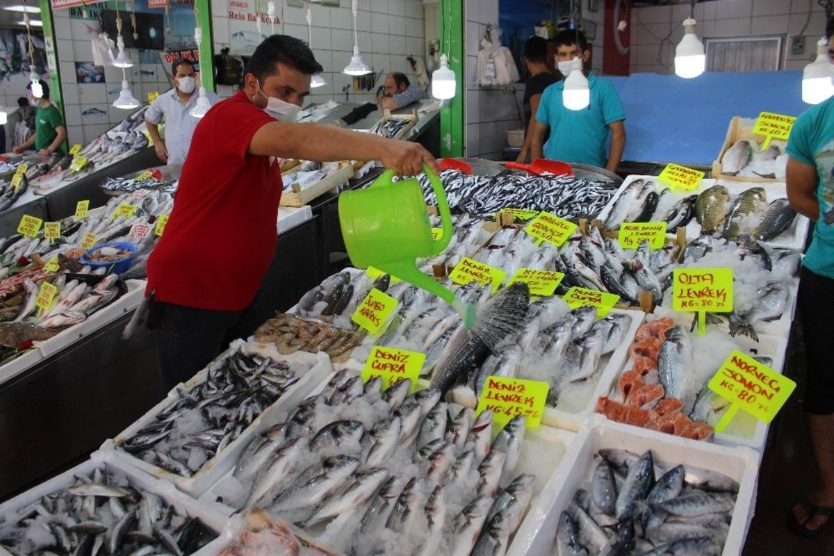 Balık halinde yeni sezon bereketi