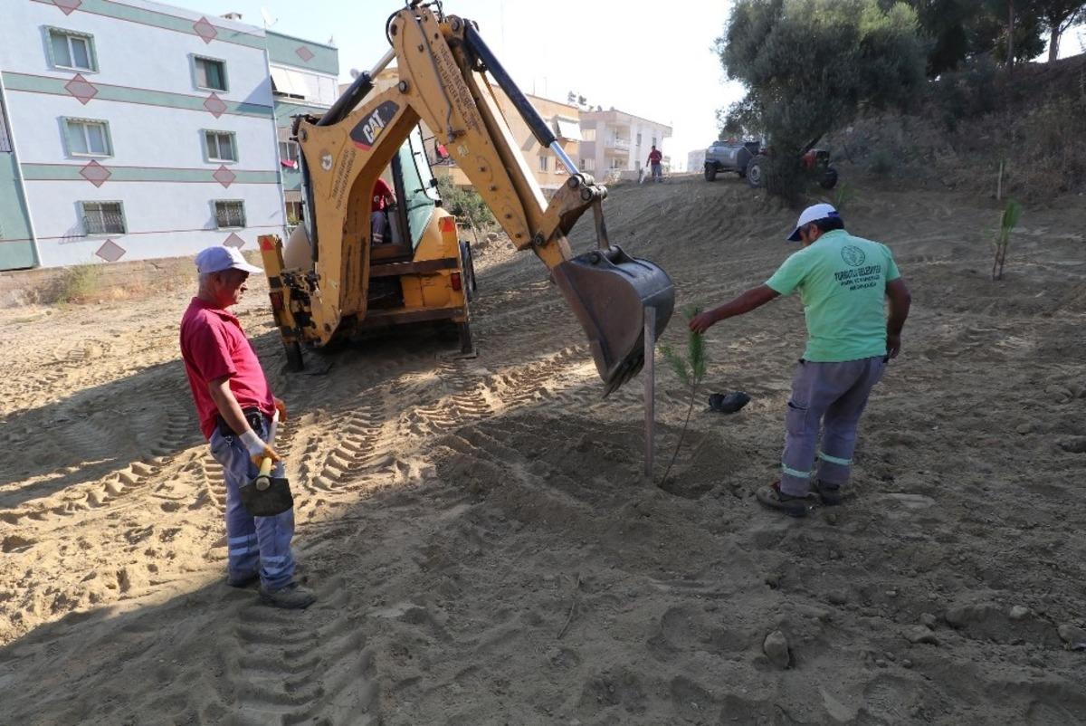 Turgutlu Belediyesi ekiplerinden yol ve ağa&ccedil;landırma &ccedil;alışması