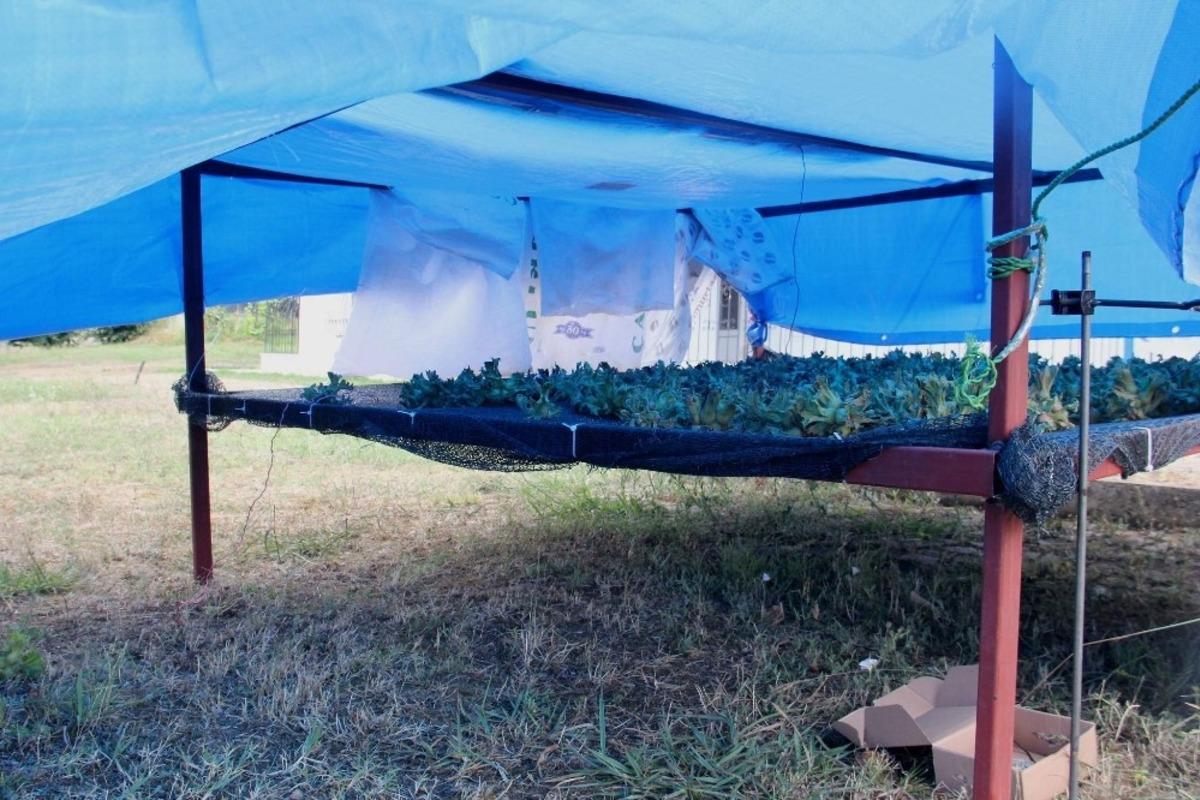 Fındık i&ccedil;in borsa-&uuml;niversite işbirliği