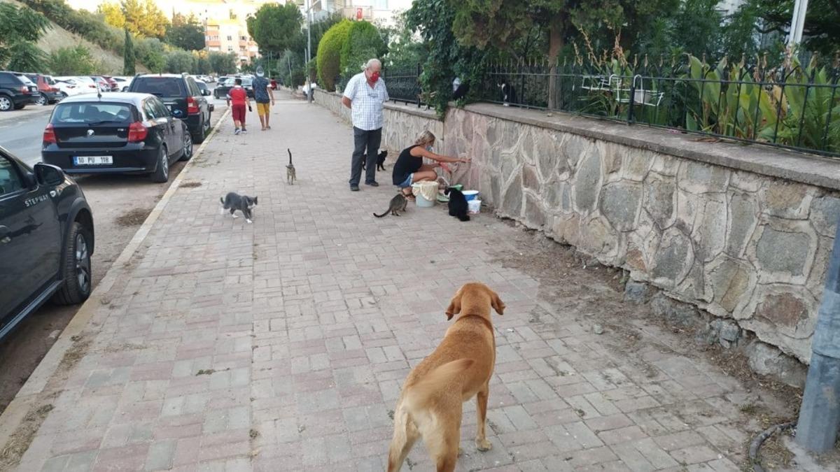 Sokak hayvanları susuz kalmasın diye harekete ge&ccedil;tiler