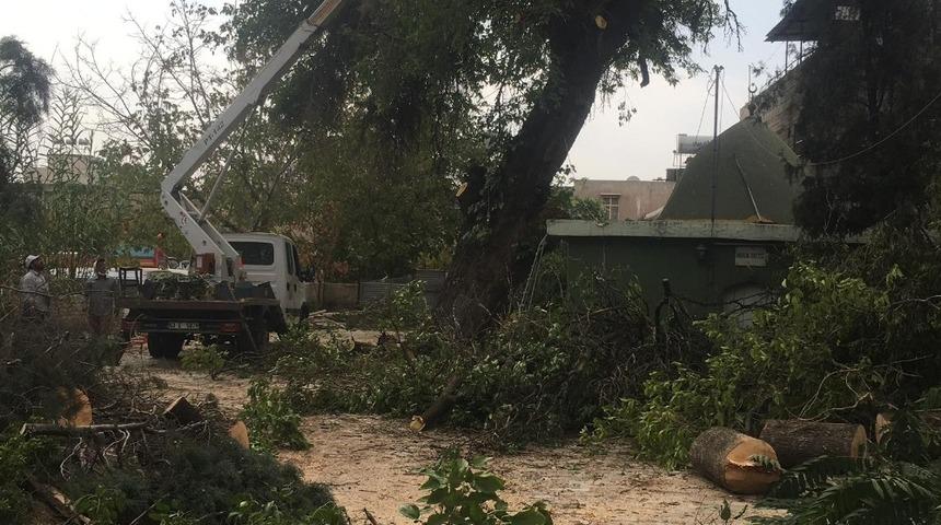 Hulk Dede T&uuml;rbesinin &ccedil;evre d&uuml;zenlemesi başladı