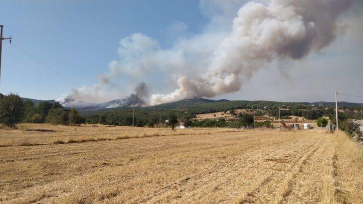Uşak’ta orman yangını G2