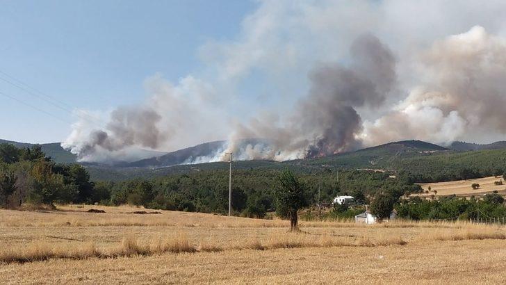 Uşak’ta orman yangını G3