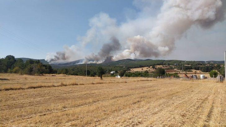 Uşak’ta orman yangını G4