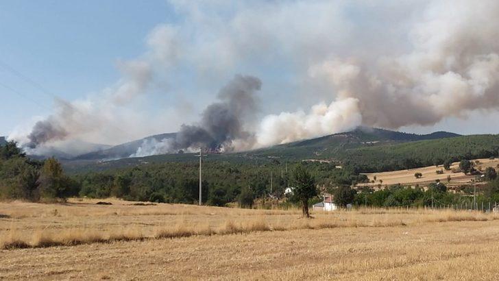 Uşak’ta orman yangını G5