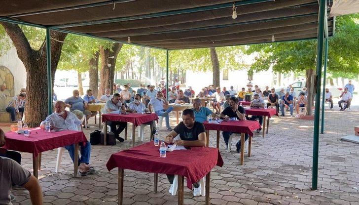 Muğla’da limon ihalesi G4