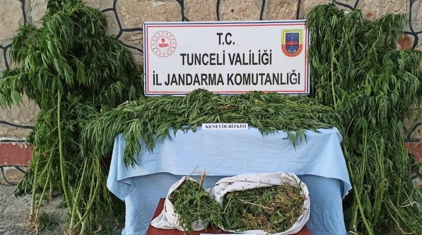 Tunceli’de uyuşturucu ile mücadele