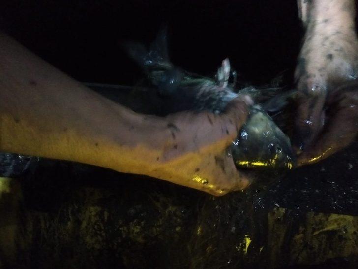 Dodurga Barajında kaçak ağ tespit edildi G3