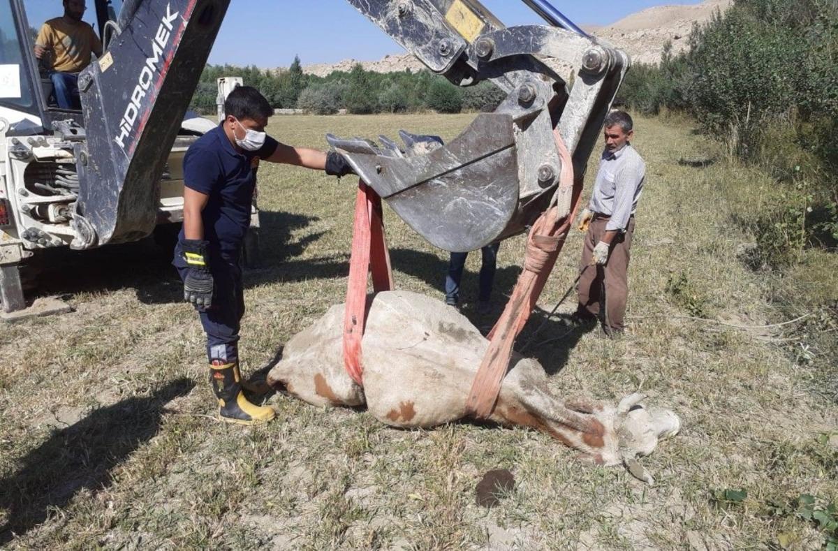 Kuyuya d&uuml;şen inek itfaiye ekipleri tarafından kurtarıldı