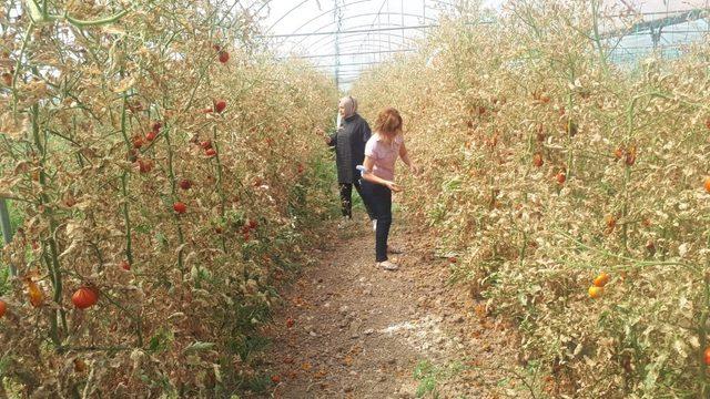 Deresakarı köyündeki üreticiler bilgilendirildi