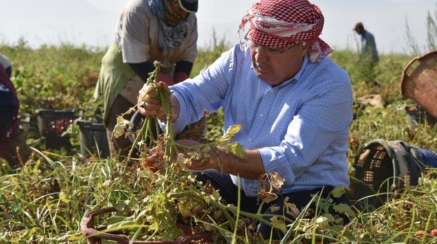 Başkan &Ccedil;er&ccedil;i domates &uuml;reticisiyle buluştu