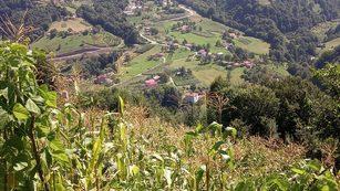 Kahreden olay! Bah&ccedil;edeki eşini domuz zannedip tabancayla &ouml;ld&uuml;rd&uuml;