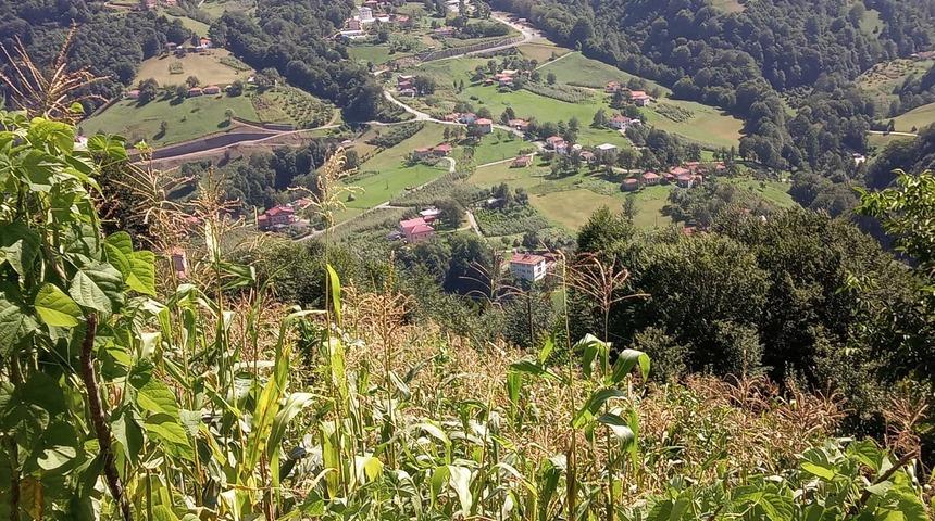 Kahreden olay! Bah&ccedil;edeki eşini domuz zannedip tabancayla &ouml;ld&uuml;rd&uuml;