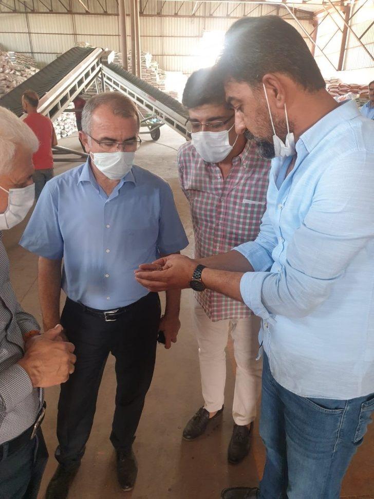 Diyarbakır’daki 40 sertifikalı tohum üretim tesisinde yıllık 120 bin ton tohum üretiliyor G3