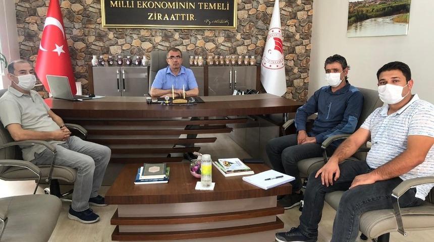 Bismil’de mısır hasadından sonra tarlalar temizlenecek