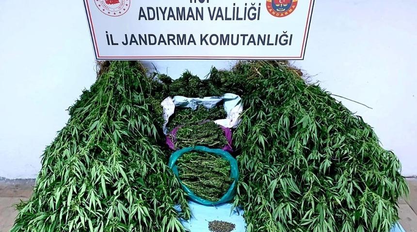 Jandarmadan uyuşturucu operasyonu
