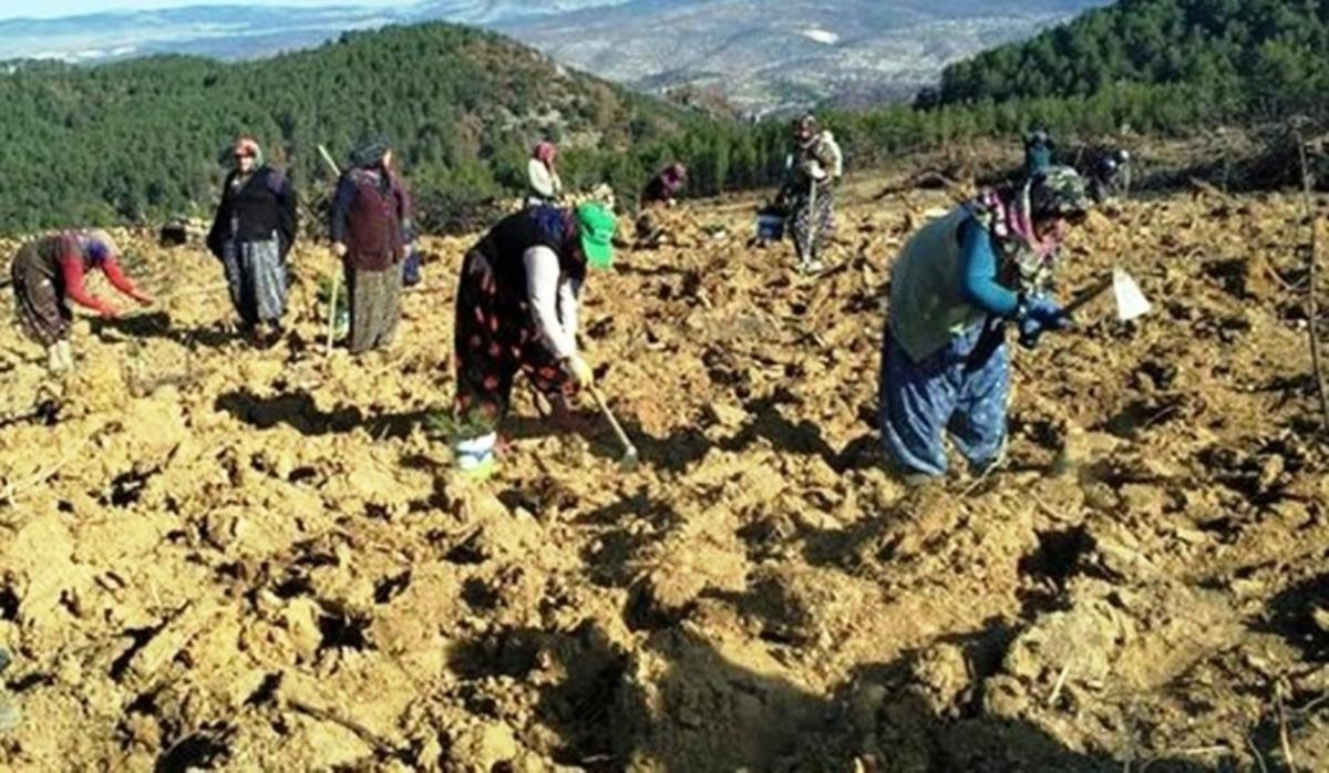 M&uuml;d&uuml;r Keskin: &ldquo;Yangınlardan etkilenen sahalarımızı en ge&ccedil; 1 yıl i&ccedil;inde ağa&ccedil;landırıyoruz&rdquo;