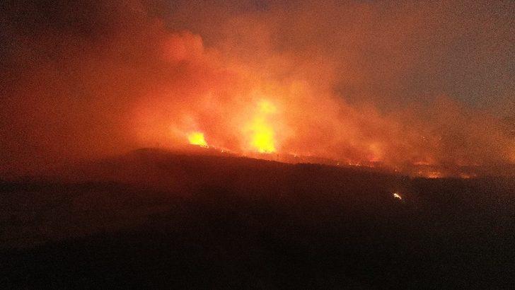 200 hektarlık alan karalara büründü G2