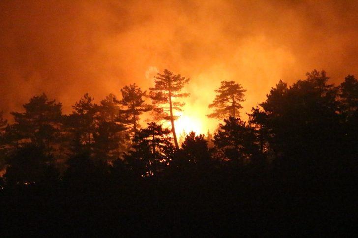 200 hektarlık alan karalara büründü G3