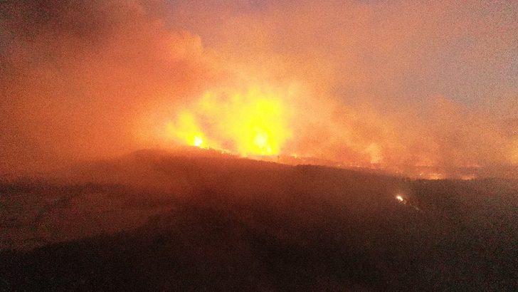 200 hektarlık alan karalara büründü G5