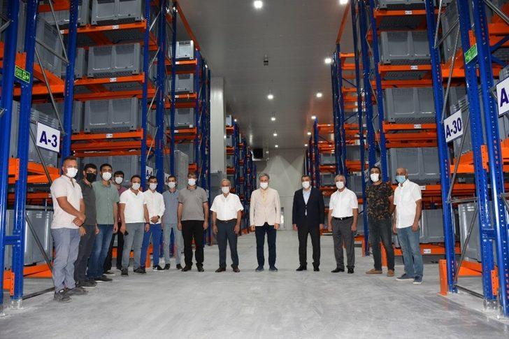 Lisanslı Kuru Kayısı Deposu, kuru kayısı alımını bekliyor G2