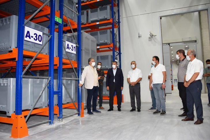 Lisanslı Kuru Kayısı Deposu, kuru kayısı alımını bekliyor G3