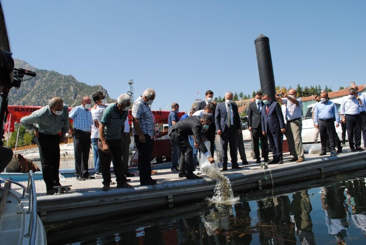 Eğirdir G&ouml;l&uuml;&rsquo;ne 562 bin adet sazan yavrusu bırakıldı