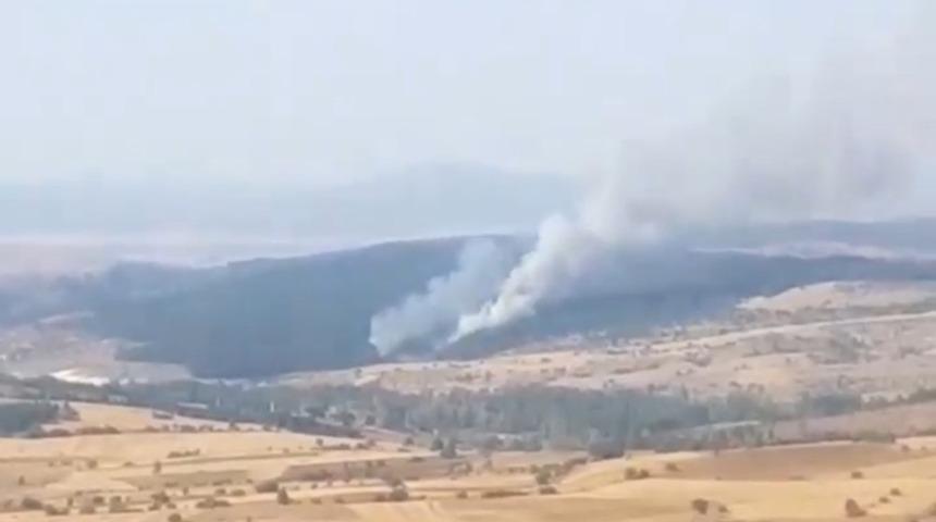 Gediz&rsquo;de orman yangını