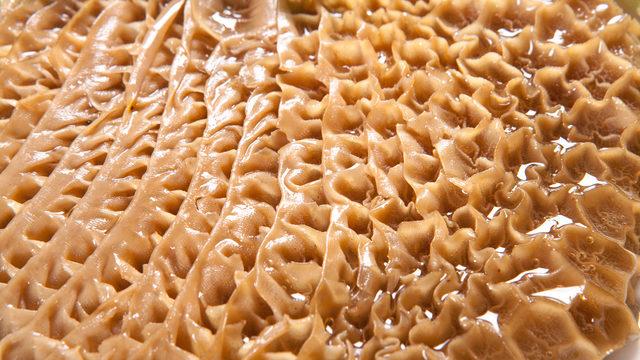 Bu besinleri yiyen çocuklar daha zeki oluyor! Zeka gelişimini destekleyen 7 besin