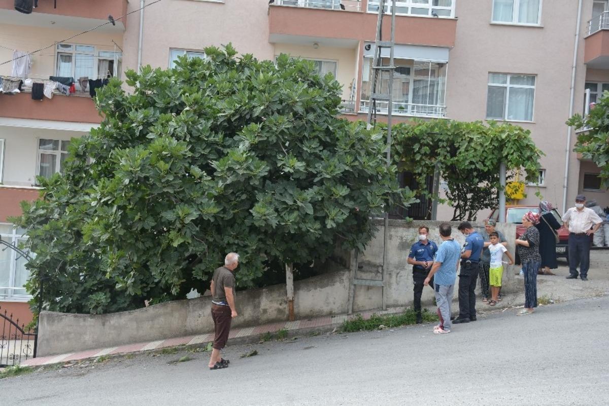 İncir ağacından d&uuml;şen yaşlı adam yaralandı