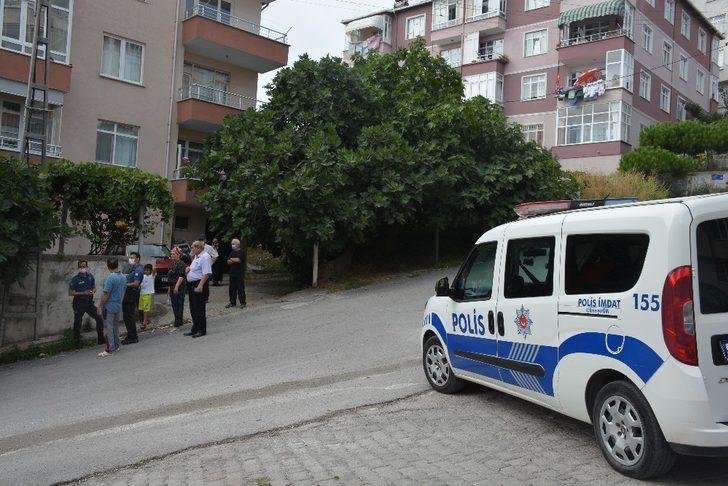 İncir ağacından düşen yaşlı adam yaralandı G3