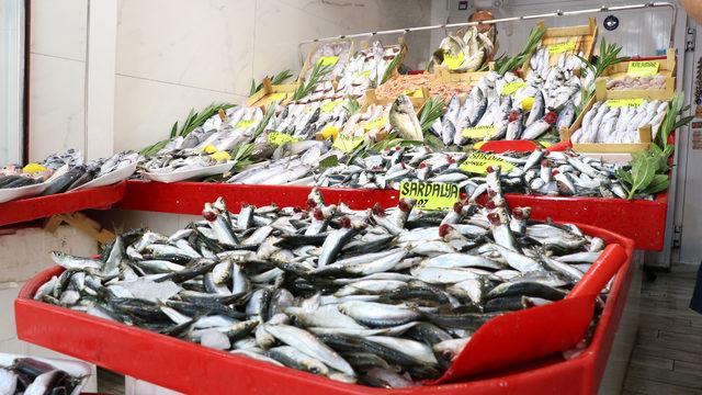 Av yasağı bitti, sardalyanın kilosu 50 liradan 20 liraya düştü
