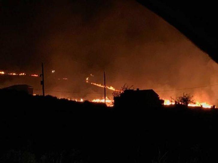 Yalova'da ormanlık alanda büyük yangın