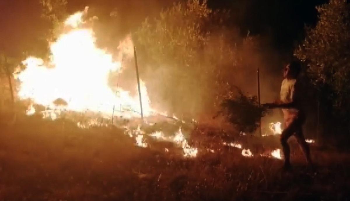 Muğla&rsquo;da orman yangını