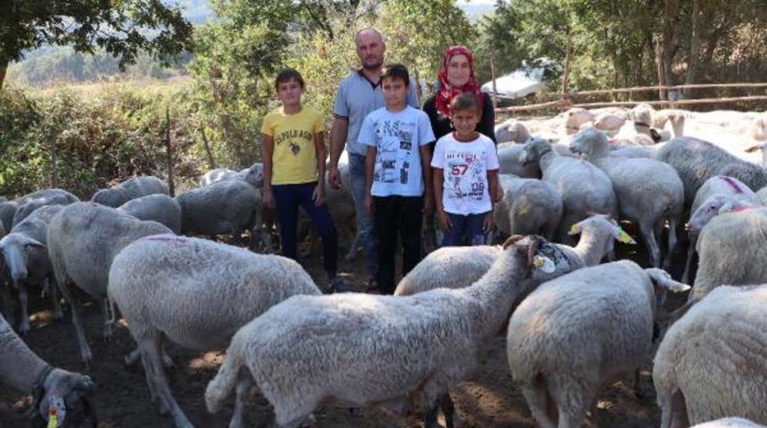 Ailecek günde iki saat mesai yapıyorlar! Ayda 15 bin lira kazanıyorlar