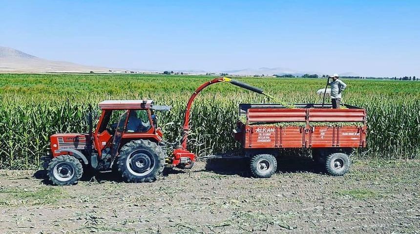 Altıntaş’ta silajlık mıssır hasatı başladı