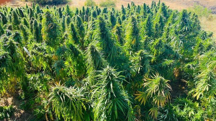 Diyarbakır’da Yıldırım-7 Operasyonu’nda 1 ton 756 kilo esrar ele geçirildi G3