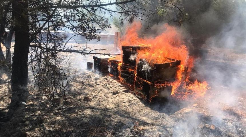 Menteşe’de çıkan yangında arı kovanları küle döndü