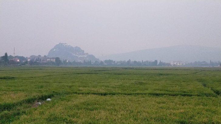 Orman yangınındaki dumanlar Osmancık’a ulaştı G1