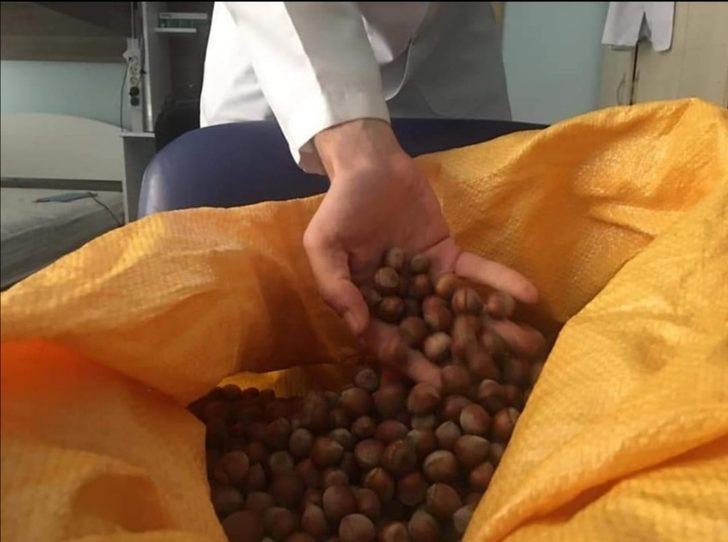 Giresun’dan İstanbul’daki sağlık çalışanlarına fındıklı motivasyon G1