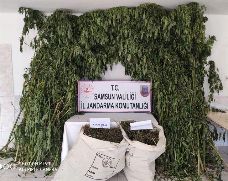 Samsun'da uyuşturucu operasyonlarında 14 şüpheli yakalandı G1