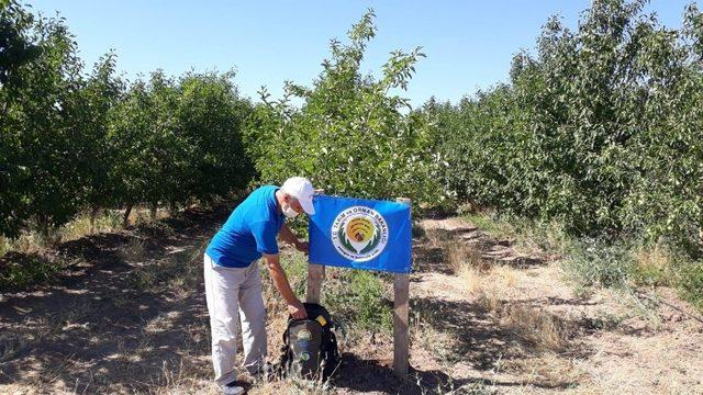 Entegre ve kontrollü üretim kapsamındaki bahçelere mavi bayrak